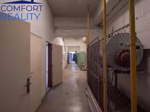 Pronájem skladu, Ostrava - Vítkovice, Halasova, 2914 m2