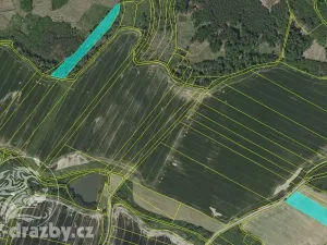 Dražba lesa, Chotýšany, 21423 m2