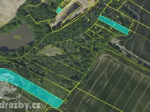 Dražba lesa, Chotýšany, 21423 m2