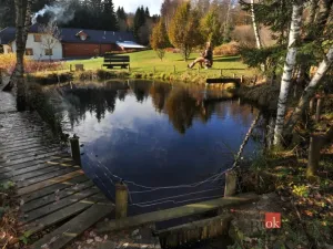 Prodej rodinného domu, Srní, 439 m2