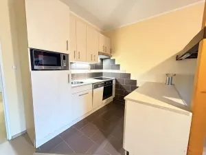Pronájem bytu 1+kk, Holubice, Buková, 40 m2