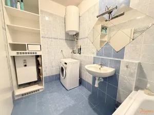 Pronájem bytu 1+kk, Holubice, Buková, 40 m2