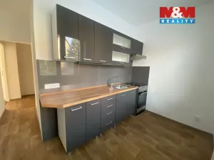 Pronájem bytu 2+1, Děčín - Děčín II-Nové Město, Riegrova, 48 m2