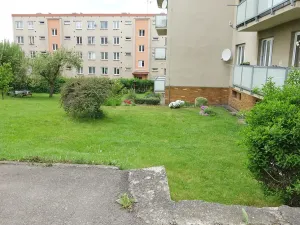 Prodej bytu 3+1, Čerčany, Družstevní, 64 m2
