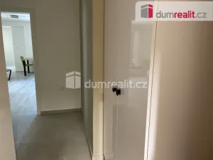Pronájem bytu 1+kk, Opava - Město, Dolní náměstí, 49 m2