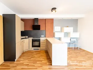 Pronájem bytu 2+kk, Praha, Vorařská, 69 m2