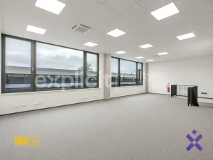 Pronájem obchodního prostoru, Brno, 444 m2