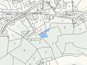 Dražba louky, Zlatá Olešnice, 438 m2