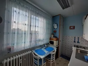 Prodej bytu 2+1, Cheb, Lesní, 52 m2