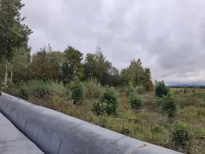 Prodej komerčního pozemku, Chodov, Nejdecká, 3546 m2