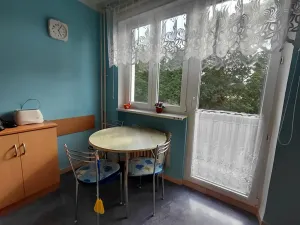 Prodej bytu 2+1, Aš, 50 m2