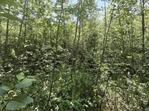 Prodej pozemku, Pomezí nad Ohří, 39941 m2