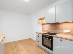 Pronájem bytu 2+1, Děčín, Ruská, 50 m2