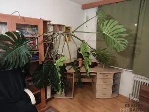 Prodej bytu 2+1, Chomutov, Bezručova, 64 m2