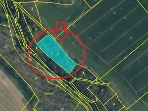 Prodej lesa, Chorušice, 2884 m2