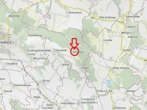 Prodej lesa, Boháňka, 3705 m2