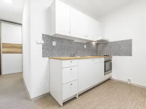 Pronájem bytu 2+1, České Budějovice, Netolická, 47 m2