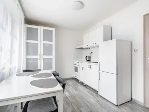 Pronájem bytu 1+1, Chomutov, Grégrova, 42 m2