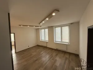 Pronájem bytu 3+kk, Podivín, 90 m2