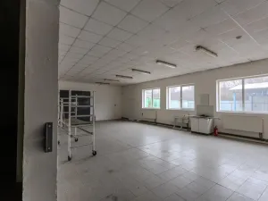 Prodej výrobních prostor, Roudnice nad Labem, Žižkova, 1111 m2