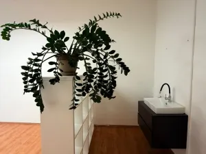 Pronájem kanceláře, Karlovy Vary, Krymská, 24 m2