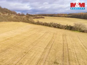 Prodej louky, Kublov, 13853 m2