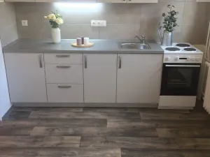 Pronájem bytu 2+1, Ostrava - Hrabůvka, Mitušova, 55 m2