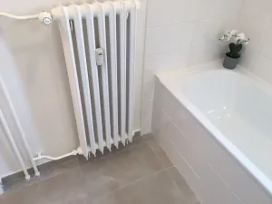 Pronájem bytu 2+1, Ostrava - Hrabůvka, Mitušova, 55 m2