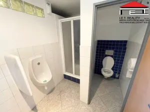 Pronájem kanceláře, Brno - Židenice, Koperníkova, 50 m2