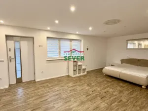 Prodej rodinného domu, Louny - Nečichy, 220 m2