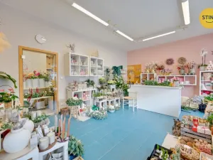 Prodej komerční nemovitosti, Zlín, Kvítková, 609 m2