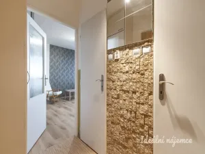 Pronájem bytu 1+1, Praha - Záběhlice, Bramboříková, 32 m2