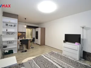 Pronájem bytu 1+kk, Olomouc, Aloise Rašína, 33 m2