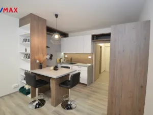 Pronájem bytu 1+kk, Olomouc, Aloise Rašína, 33 m2