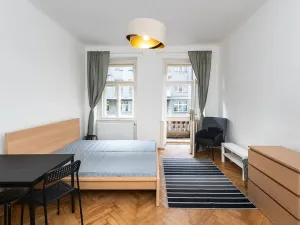 Pronájem bytu 1+kk, Praha - Nové Město, Lípová, 33 m2