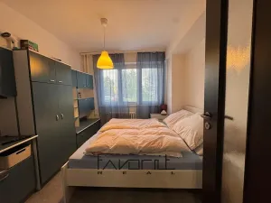 Pronájem bytu 2+1, Ostrava, Zelená, 46 m2