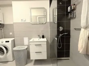 Pronájem bytu 3+1, Olomouc, Tomkova, 68 m2