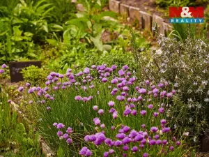 Prodej rodinného domu, Volfartice, 179 m2