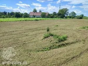 Dražba pozemku pro bydlení, Bruzovice, 11054 m2