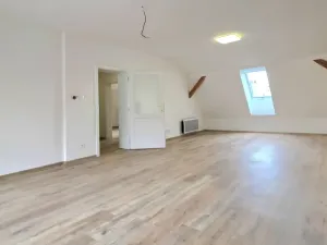 Prodej bytu 4+kk, Ostrava - Přívoz, Žofie Podlipské, 132 m2