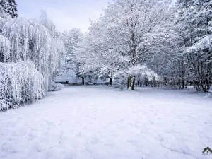 Prodej bytu 2+1, Ostrava, Zelená, 55 m2