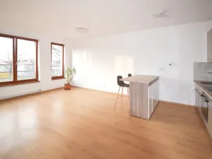 Pronájem bytu 2+kk, Plzeň - Jižní Předměstí, Boettingerova, 60 m2