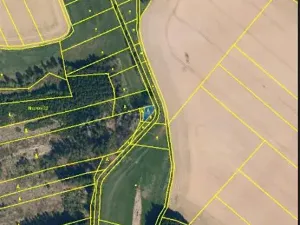 Prodej lesa, Ústrašín, 194 m2