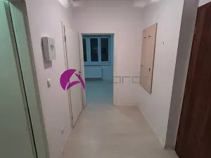 Pronájem bytu 1+1, Olomouc, Dobrovského, 46 m2