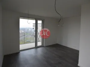 Pronájem bytu 2+kk, Ostrava, F. X. Riepla, 53 m2