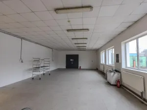 Prodej výrobních prostor, Roudnice nad Labem, Žižkova, 1111 m2