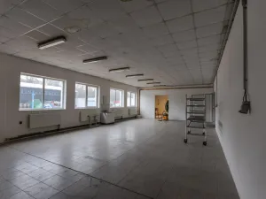 Prodej výrobních prostor, Roudnice nad Labem, Žižkova, 1111 m2