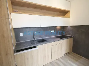 Pronájem bytu 3+kk, Praha - Michle, Na líše, 63 m2