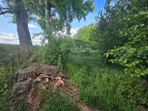 Prodej lesa, Cvrčovice, 4746 m2