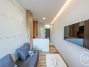 Pronájem bytu 1+kk, Opava - Předměstí, Haškova, 17 m2